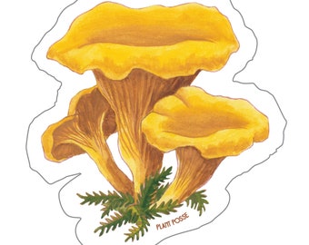 Chanterelle Sticker, mushroom stickers, mushroom art, fungi, mushroom hunter, gifts under 5, stickers,laptop,waterbottle,vegan,forest,nature