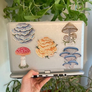 Shiitake Sticker, mushroom stickers, mushroom art, fungi, mushroom hunter, gifts under 5, stickers, laptop, waterbottle, vegan,forest,nature image 7