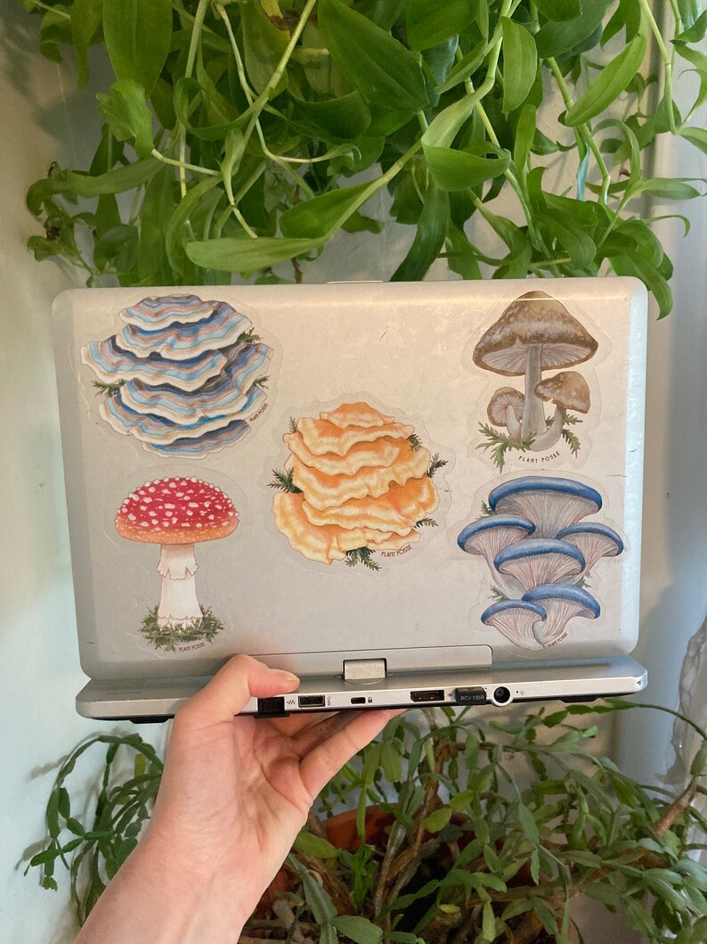 Shiitake Sticker, mushroom stickers, mushroom art, fungi, mushroom hunter, gifts under 5, stickers, laptop, waterbottle, vegan,forest,nature image 7