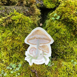 Shiitake Sticker, mushroom stickers, mushroom art, fungi, mushroom hunter, gifts under 5, stickers, laptop, waterbottle, vegan,forest,nature image 2