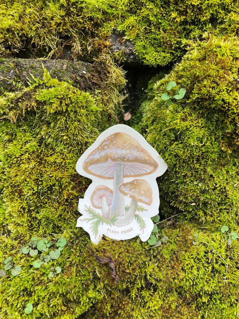 Shiitake Sticker, mushroom stickers, mushroom art, fungi, mushroom hunter, gifts under 5, stickers, laptop, waterbottle, vegan,forest,nature image 2