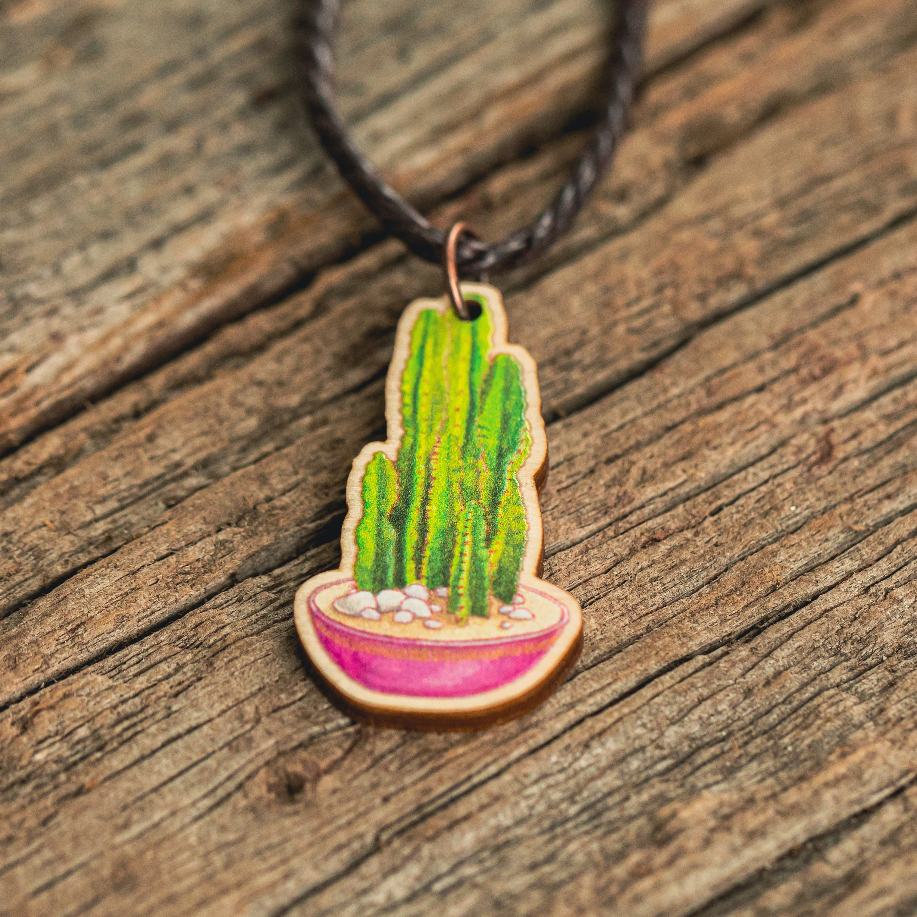 Cereus repandus - Etsy 日本