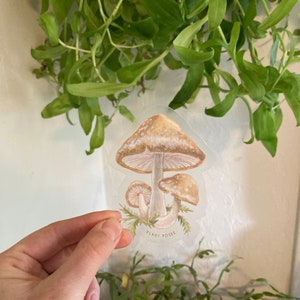 Shiitake Sticker, mushroom stickers, mushroom art, fungi, mushroom hunter, gifts under 5, stickers, laptop, waterbottle, vegan,forest,nature image 4