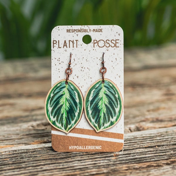 Medallion prayer plant earrings, houseplant earrings, dangles, tropical, sustainable jewelry, eco-friendly earrings, Calathea veitchiana
