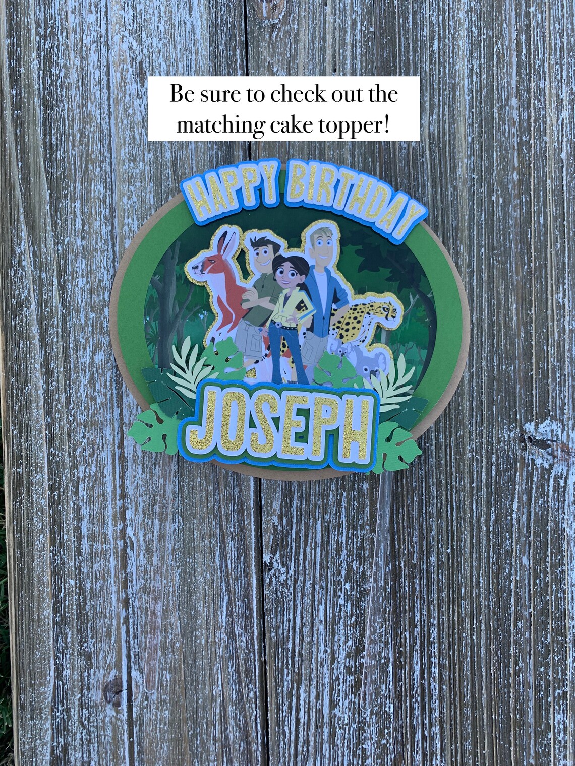 Set of 12 Wild Kratts Cupcake Toppers Wild Kratts Theme - Etsy