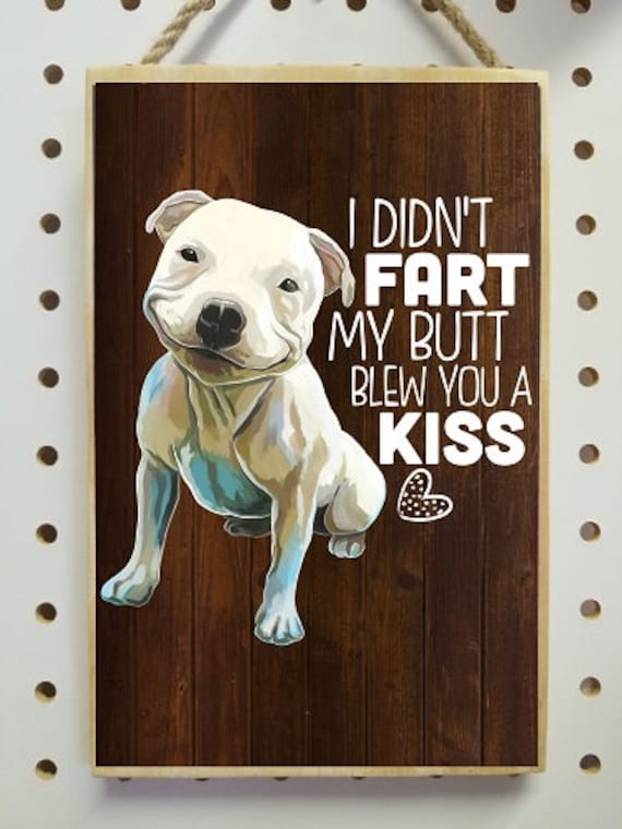 Anatomy Of A Pitbull Dog Funny Cute Pitbull Mom Pitbull Dad Gift
