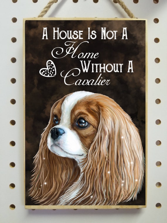 Cavalier king charles spaniel items 2025