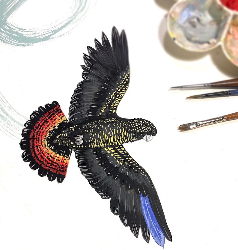 May include: A black and yellow bird with a red and orange tail, flying with its wings spread. The bird has a blue patch on its wing.