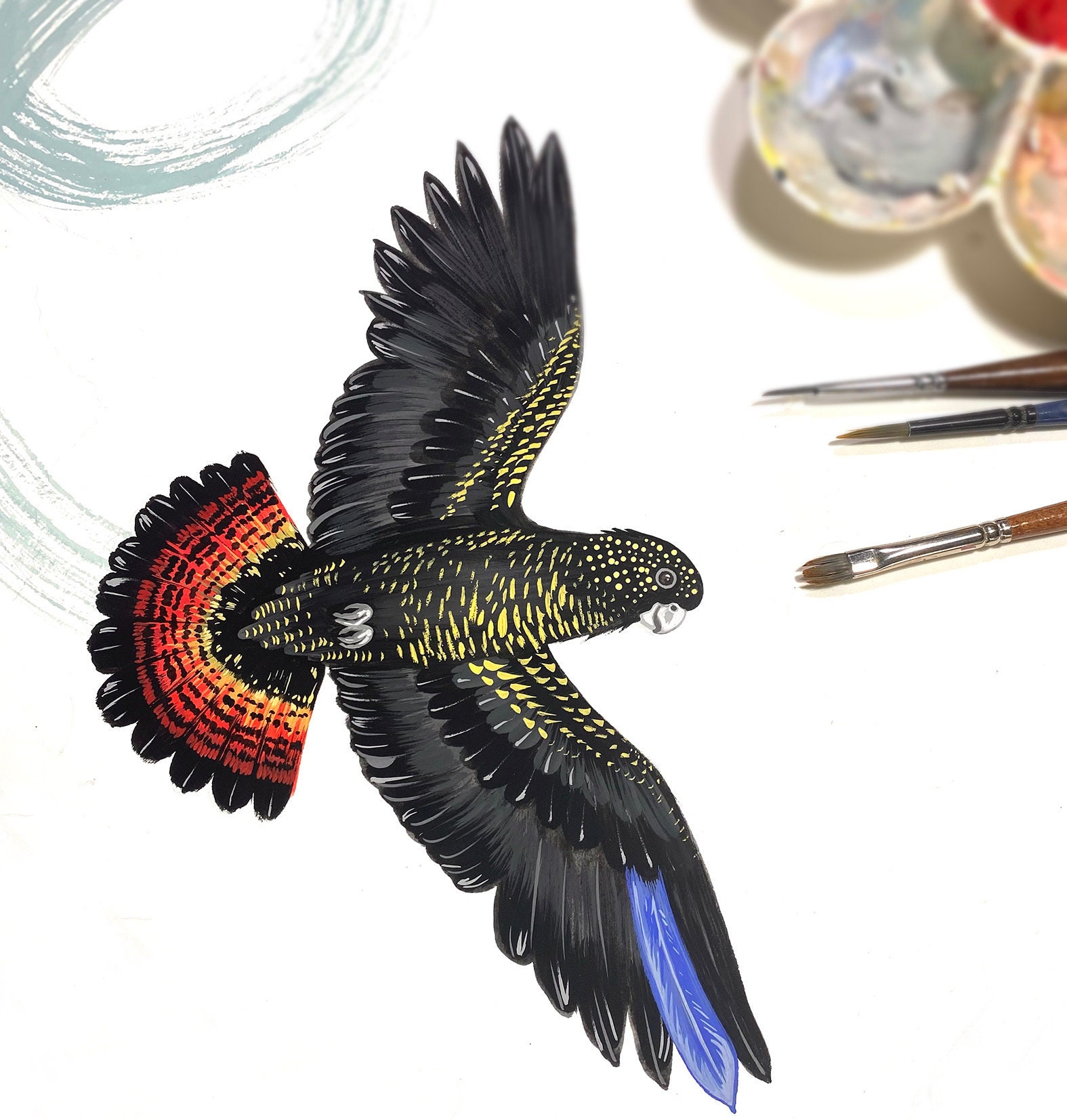 The Black Cockatoo With One Feather Blue Australian - Etsy