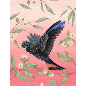 A4 'The Black Cockatoo' Matte Art Print by Eloise Short, from children's book The Black Cockatoo With One Feather Blue
