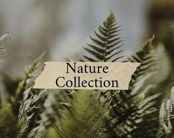 Nature Collection Soy Wax Candles