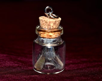 Tarantula Pedipalp Molt Pendant - Avicularia species <Cruelty-free>