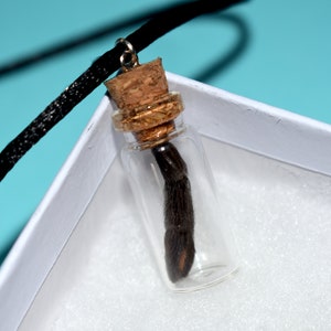 Tarantula Pedipalp Molt Necklace - Psalmopoeus irminia &lt;Cruelty-free&gt;