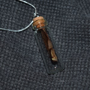 Tarantula Toe Molt Necklace - Poecilotheria rufilata &lt;Cruelty-free&gt;