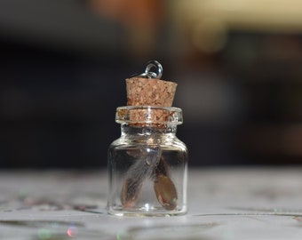 Tarantula Pedipalp Molt Pendant - Avicularia avicularia <Cruelty-free>