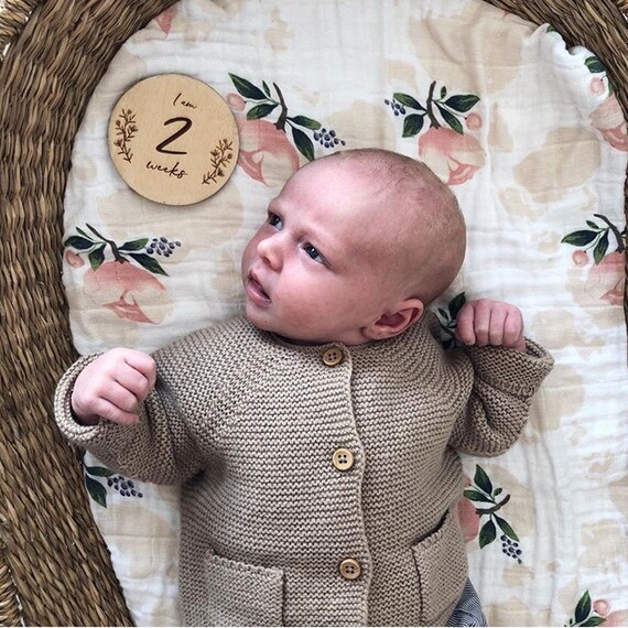 etsy baby milestone