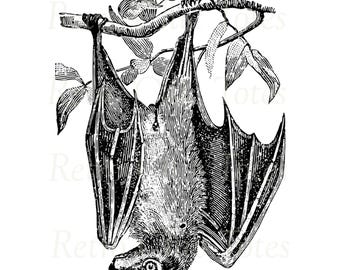 Ilustración de murciélago vintage: descarga digital PNG: clipart gótico de Halloween para manualidades, decoración y arte oscuro