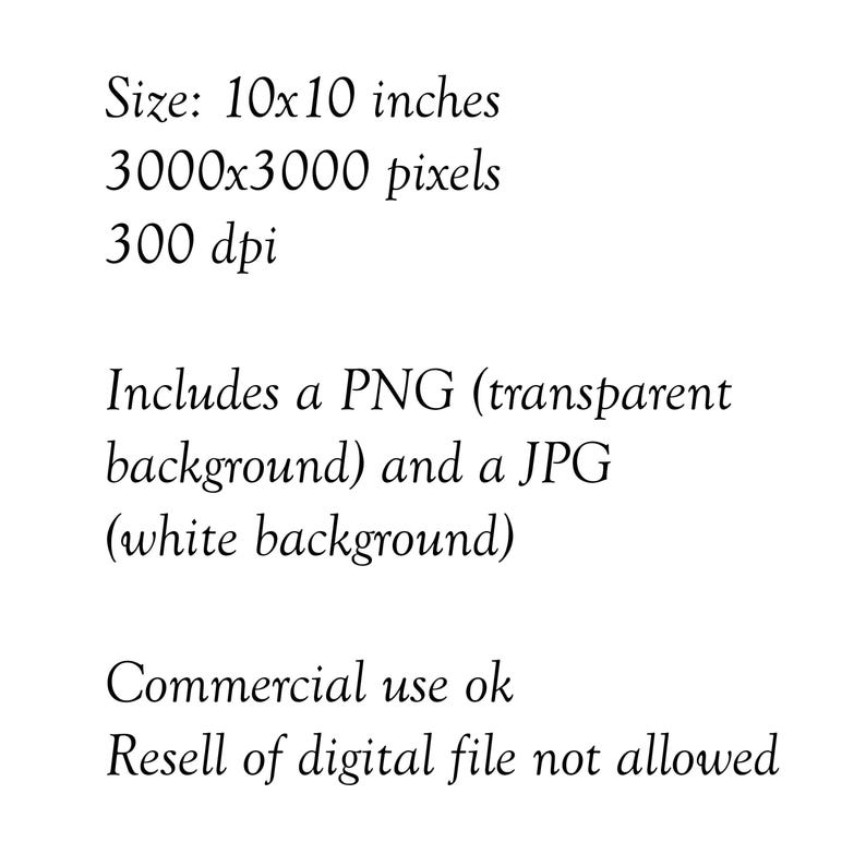 Pu&ograve; includere: Testo su sfondo bianco, con specifiche di dimensioni di 25,4 x 25,4 cm, 3000x3000 pixel e 300 dpi. Il testo menziona anche un PNG con sfondo trasparente e un JPG con sfondo bianco.