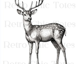 Vintage Deer Illustration PNG, Hand Drawn Stag Clipart, Wildlife Line Art, Rustic Nature Digital Art, Forest Animal PNG