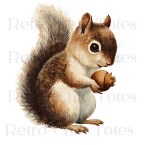 May include: Watercolor illustration of a squirrel holding an acorn. The squirrel has brown and white fur, a fluffy tail, and a detailed rendering. The acorn is brown and held in the squirrel's paws. The image has a vintage, whimsical feel.