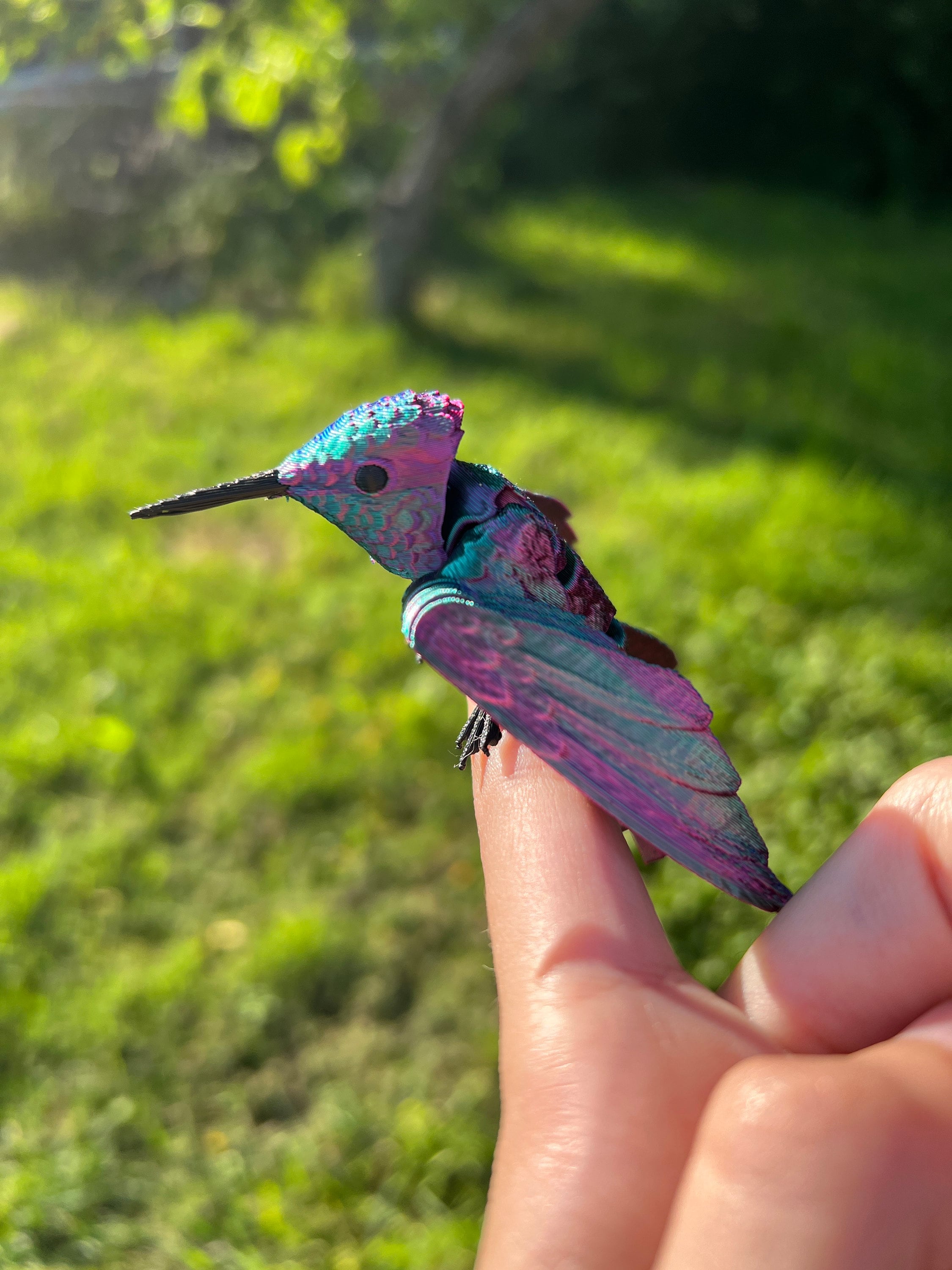Humming Bird Final Stage 1995 未開封 Humming Bird Articulated Fidget - Random Color - Etsy