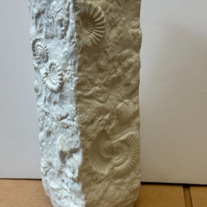 May include: An off-white rectangular vase with a textured, stone-like finish. The vase features embossed fossil designs, including ammonites and other marine creatures. It has a square base and a smooth interior.