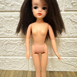 Toy Sindy Pedigree Doll Pedigree Sindy For Sale Sindy House