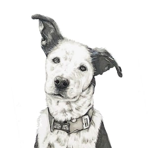 Custom Pet Portrait, Pet Drawing, Pet Loss Gift, Custom Dog Drawing, Custom Dog Sketch, Custom Watercolor Pet,  Pet Illustration, Pet Sketch