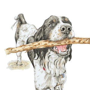 Custom Pet Portrait, Pet Drawing, Pet Loss Gift, Custom Dog Drawing, Custom Dog Sketch, Custom Watercolor Pet,  Pet Illustration, Pet Sketch