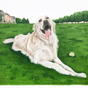 Custom Pet Portrait, Pet Drawing, Pet Loss Gift, Custom Dog Drawing, Custom Dog Sketch, Custom Watercolor Pet,  Pet Illustration, Pet Sketch