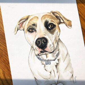 Custom Pet Portrait, Pet Drawing, Pet Loss Gift, Custom Dog Drawing, Custom Dog Sketch, Custom Watercolor Pet,  Pet Illustration, Pet Sketch