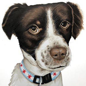 Custom Pet Portrait, Pet Drawing, Pet Loss Gift, Custom Dog Drawing, Custom Dog Sketch, Custom Watercolor Pet,  Pet Illustration, Pet Sketch