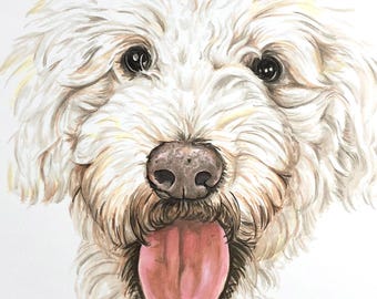 Custom Pet Portrait: Ink and Marker Drawing from Photo