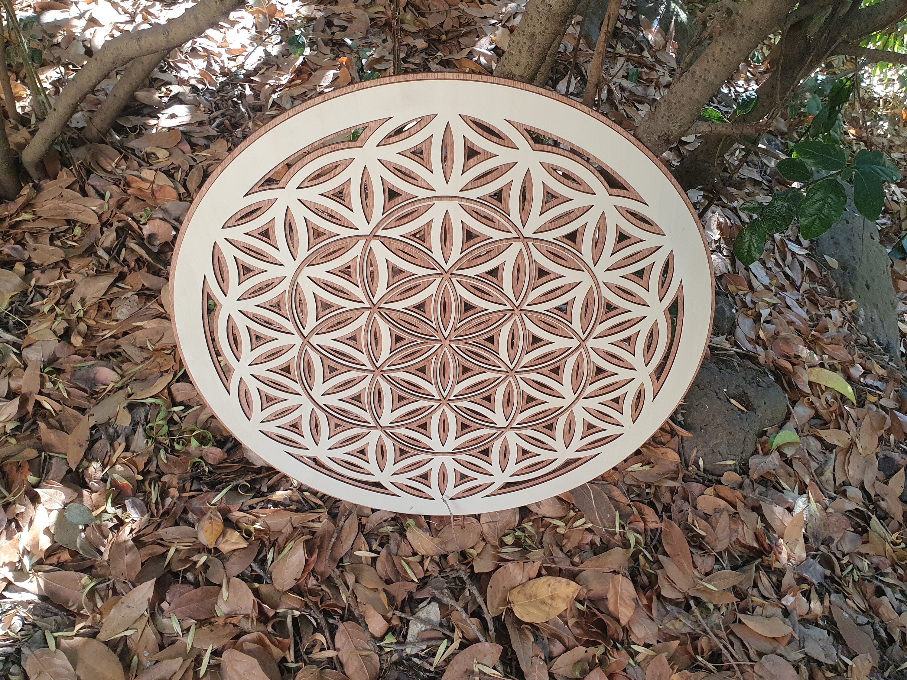 Torus coasters sacred geometry cut and laser engraved Torus coasters sacred geometry cut and laser engraved