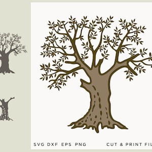 Olive tree, Tree of Life Tree of Life svg, Tree cut file, Tree cut out, Laser cut, Vinyl Cutting, Engraving Clipart, Tree svg