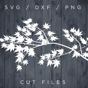 Ahorn SVG, Wandbaum des Lebens, Wandkunst, Svg-Dateien für Cricut, Baum geschnitten Datei, Raumteiler, Paravent, Vinyl schneiden, Lasergravur, Ahorn Png