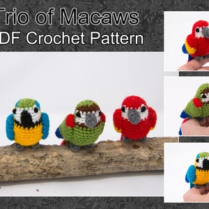 Trio of Macaw Parrots Crochet Pattern