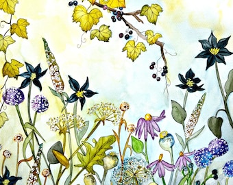 watercolor painting - original - botanical art - garden nature season -