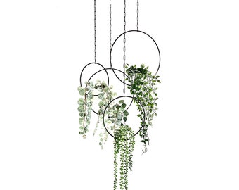 Cirque Plant Hanger