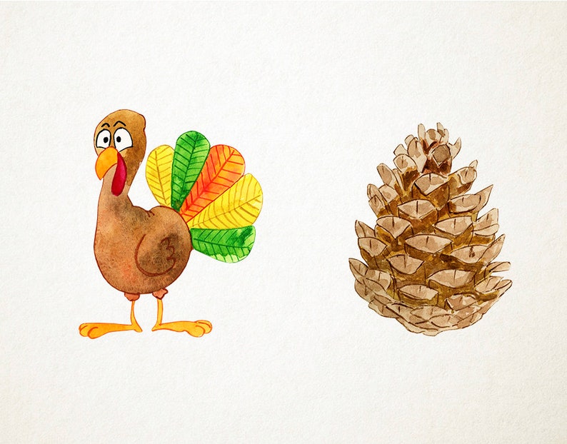 Peut inclure: Une peinture &agrave; l'aquarelle d'une dinde de dessin anim&eacute; avec une queue color&eacute;e et une pomme de pin brune.