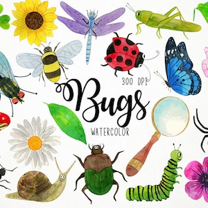 Clipart de insectos de acuarela, Clipart de insectos, Clipart de animales, Clipart de naturaleza, Clipart de primavera, Gráficos de bugs, Clipart de jardín, Clipart de ciencia