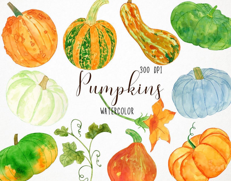May include: Watercolor illustration of various pumpkins in shades of orange, green, and blue. The image includes pumpkins of different shapes and sizes, with the word "Pumpkins" and "Watercolor" in script.