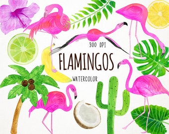 flamingo clipart, flamingo clip art, clipart flamingo, watercolor flamingo clipart, flaming clipart, tropical clipart, flamingo digital