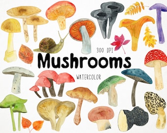 Clipart de hongos de acuarela, Gráficos de hongos, Clipart de hongos, Clipart de micología, Clipart de bosque, Clipart de otoño, Clipart de otoño, Woodland
