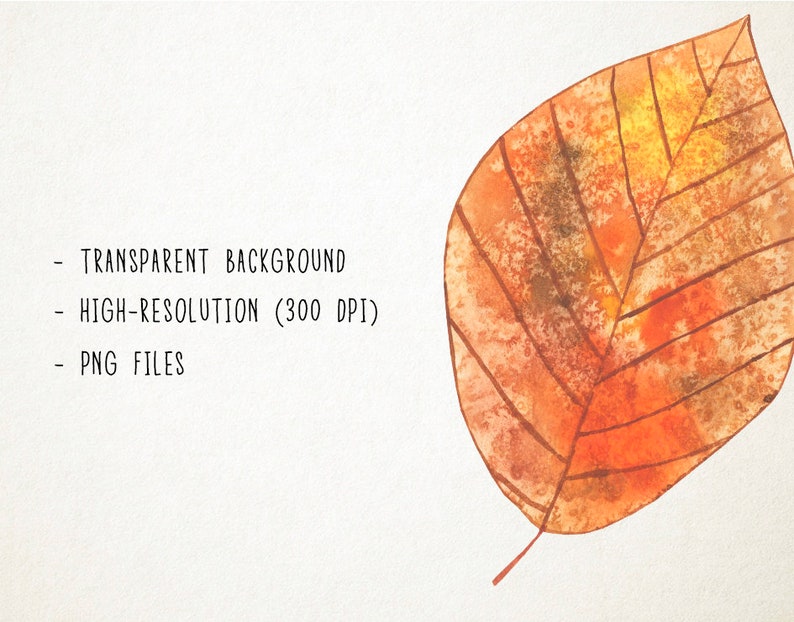 May include: A single, orange and brown watercolor leaf with visible veins. The leaf is isolated on a white background.