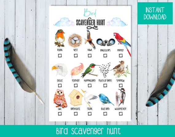 Printable Birds Scavenger Hunt for Children Birds Scavenger