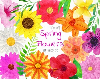 flower clipart, spring clipart, flower graphics, spring flowers clipart, watercolor spring flowers, garden clipart, garden flowers clipart