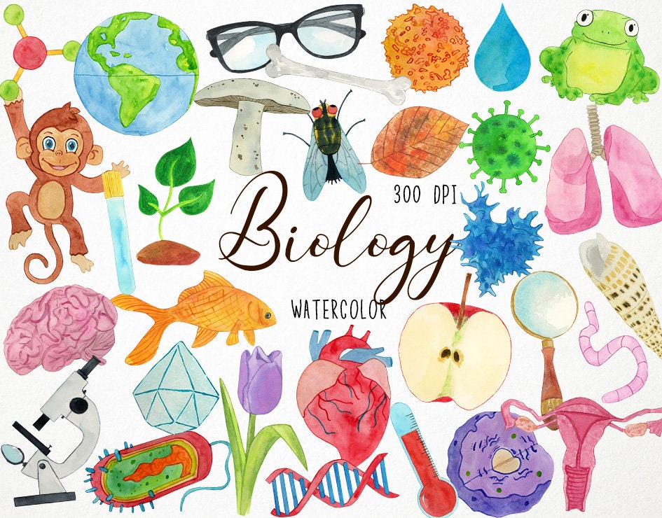 Watercolor Biology Clipart, Biologist Clipart, Science Clipart, Laboratory  Clipart, Animals Clipart, Zoology Clipart, Biology Graphics - Etsy