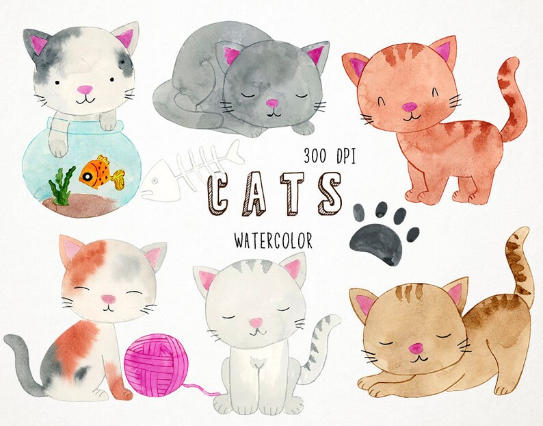 Cat Clipart Watercolor Clipart Watercolor Cat Clipart Cat Etsy