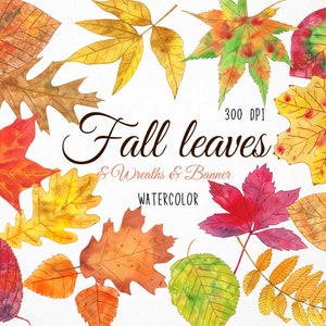 May include: A collection of watercolor fall leaves in various shades of red, orange, yellow, and green. The leaves are isolated on a white background. The text "Fall leaves & Wreaths & Banner WATERCOLOR" is written in black cursive font.